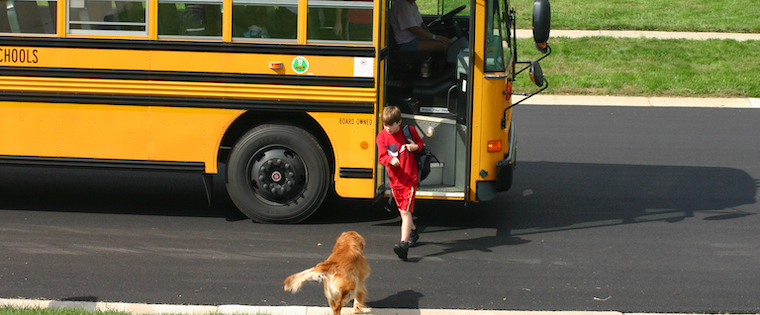 How To Keep The Dog Happy When Kids Go Back To School Animal Clinic Of Woodruff Spartanburg Sc How To Keep The Dog Happy When Kids Go Back To School Animal Clinic Of Woodruff Spartanburg Sc