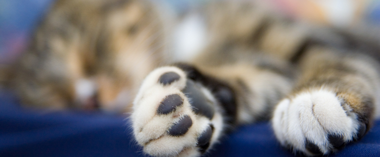 blog photo