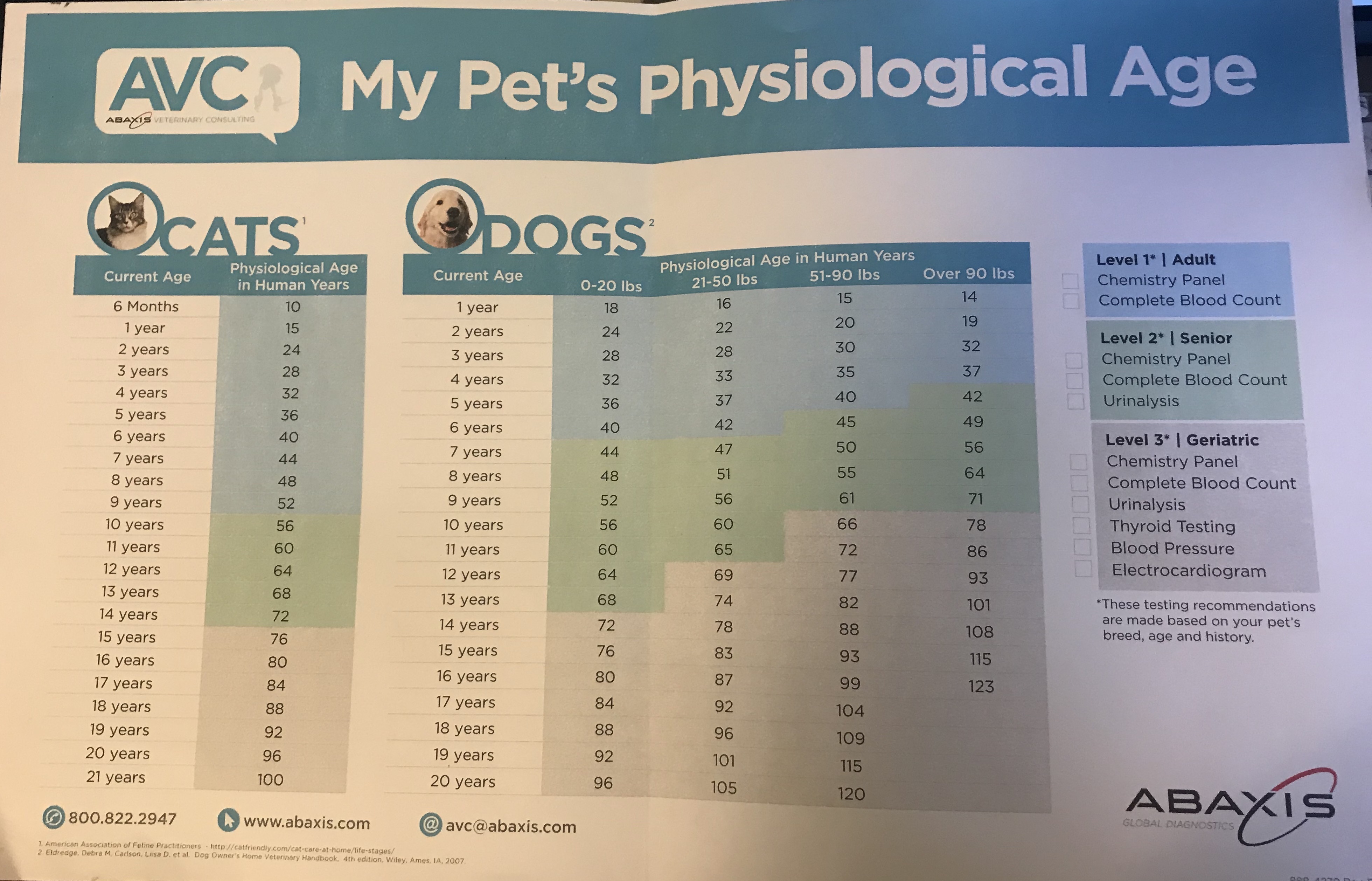 What's your pet's psychological age? | Animal Clinic of Woodruff,  Spartanburg, SC