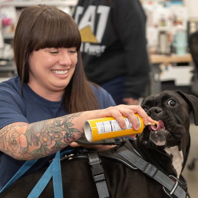 Cheese Treat for Dog