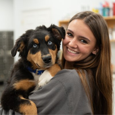 Getting to Know Your Pet