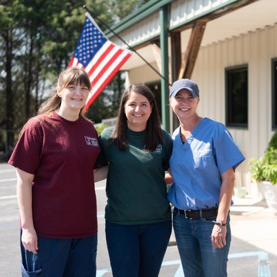 Our veterinary Team