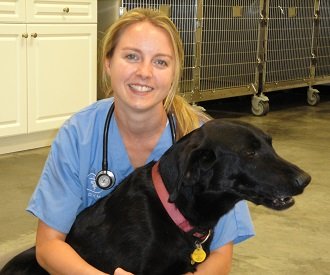 Preventative Veterinary Care